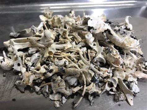 遺體火化|殯儀館的火葬場火化過程/流程為何？親人火化至撿骨。